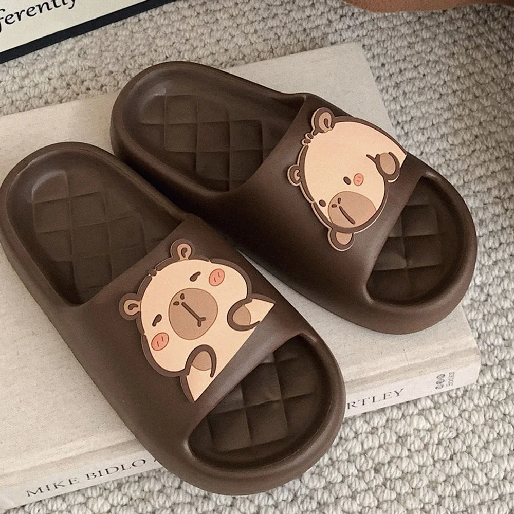 2026 new Cute Capybara Design  - Water Shoes 评论和价格